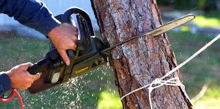 Best Lawn Irrigation Installation and Maintenance  in Los Chaves, NM